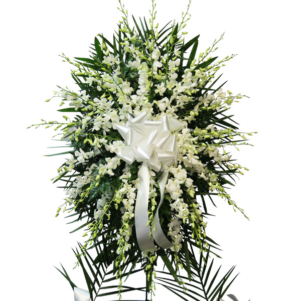 Stunning Orchids Spray