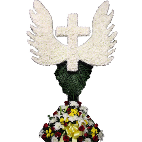 Wings and Cross