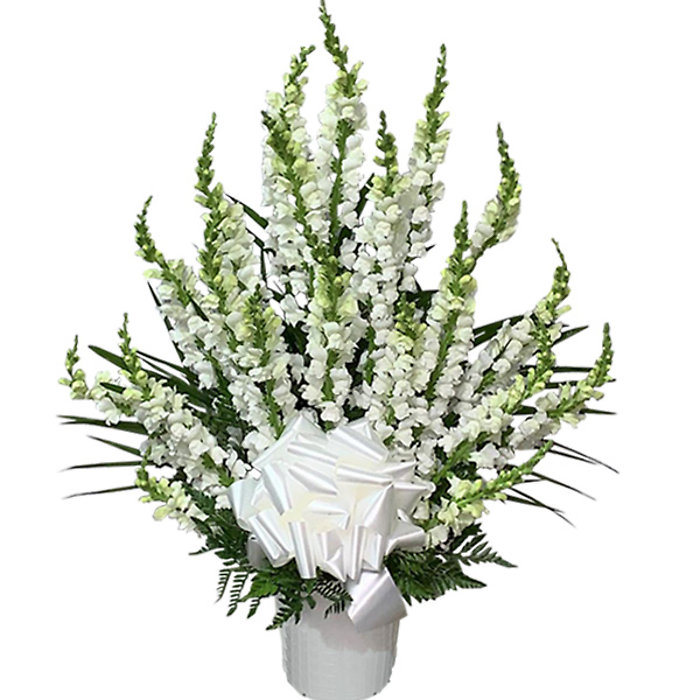 Snapdragon Basket