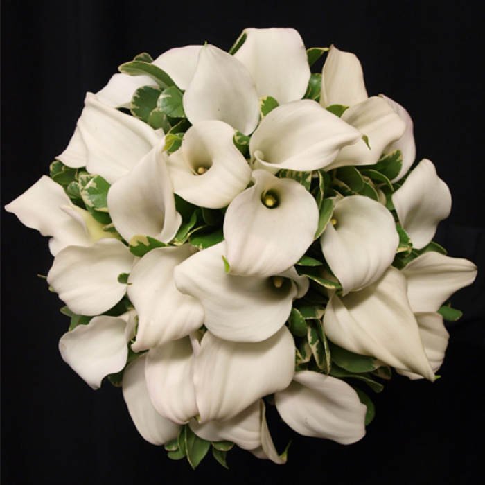 Calla Lily Bouquet