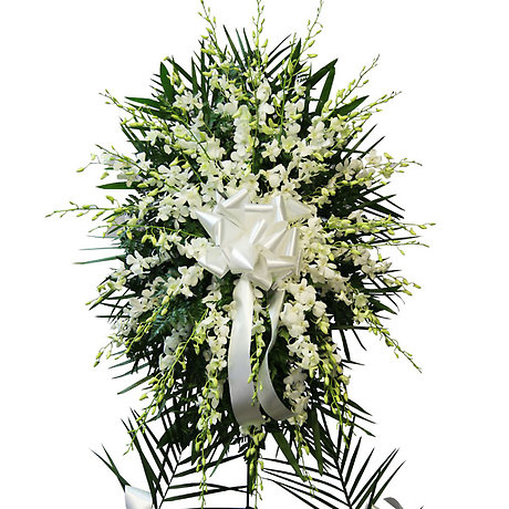 Stunning Orchids Spray