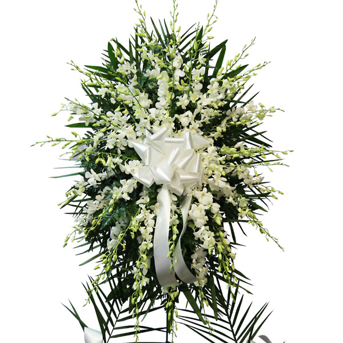 Stunning Orchids Spray