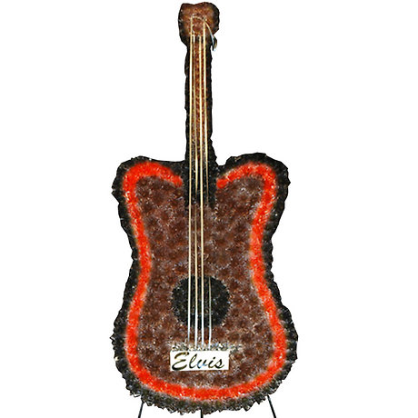 Elvis Guitar