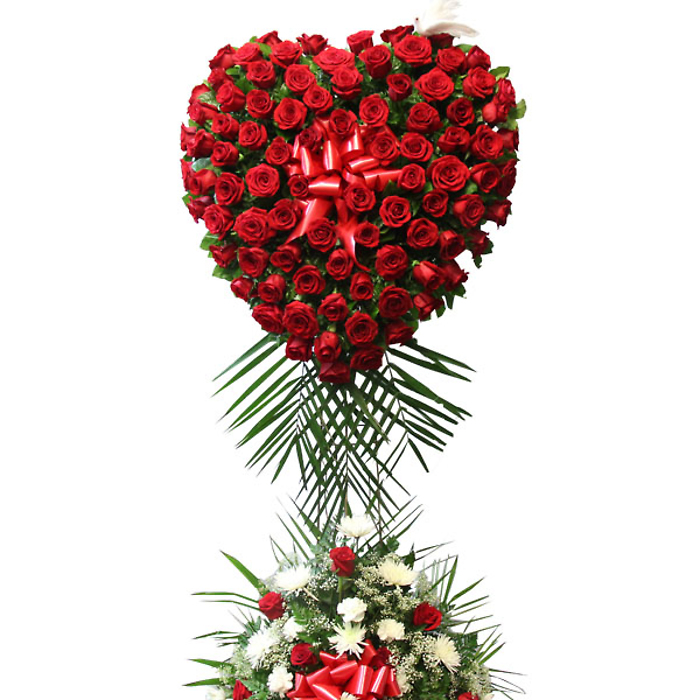 Bleeding Heart With Bottom