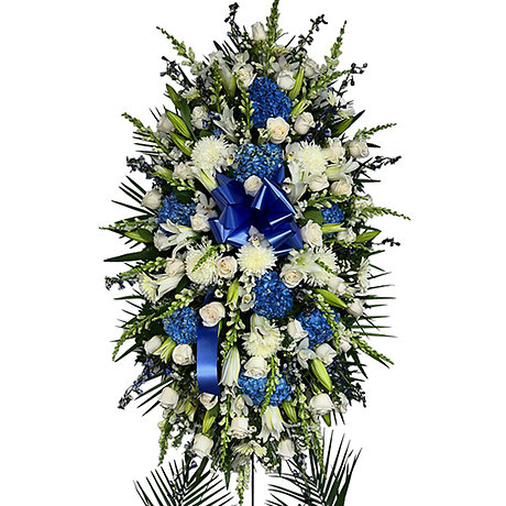 Valiant Champion Spray