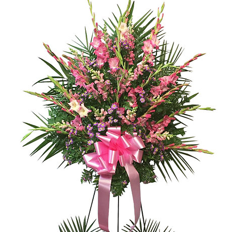 Modest Affection Spray