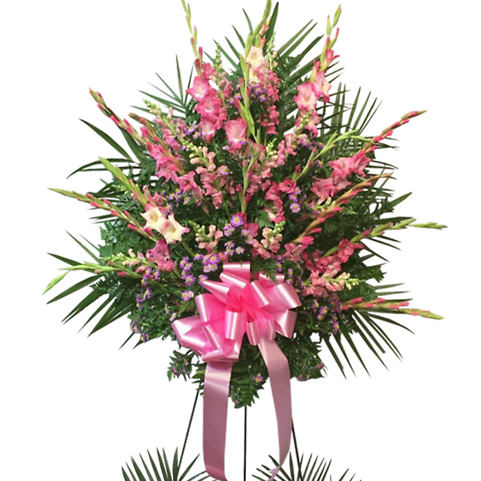 Modest Affection Spray