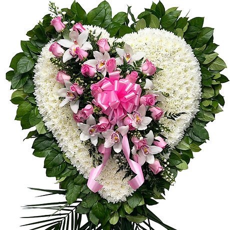 Delicate Heart