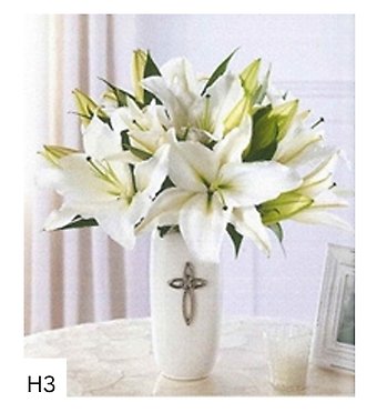 All White Lilly