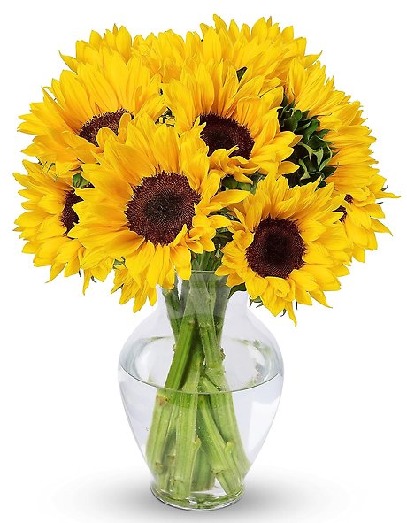 You Are My Sunshine Bouquet