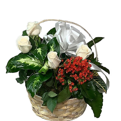 Peaceful Dish Garden