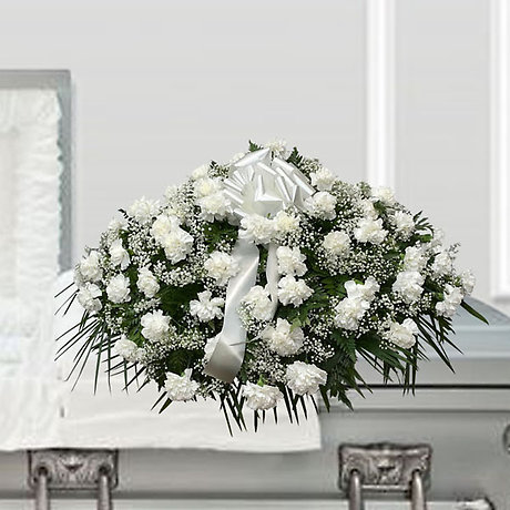 My Loved One Casket