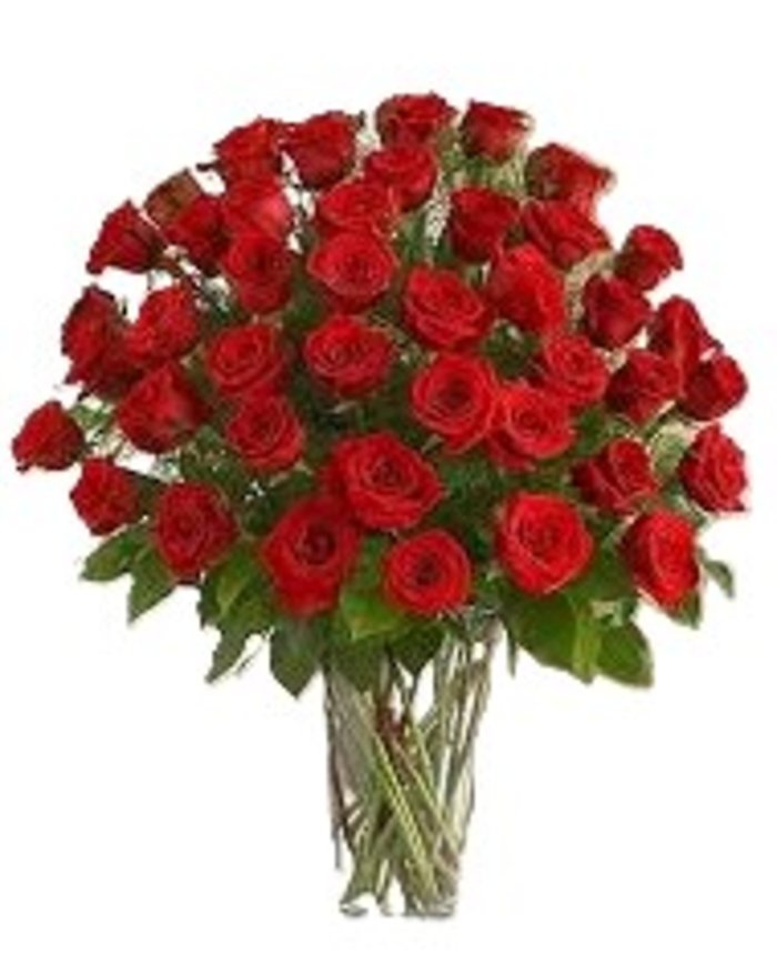 3 Dozen Red Roses