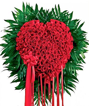 Bleeding Heart