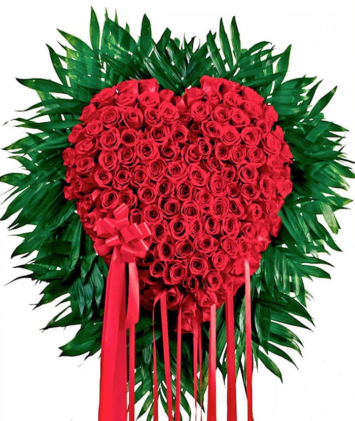 Bleeding Heart