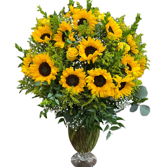 Sunflower Extravaganza